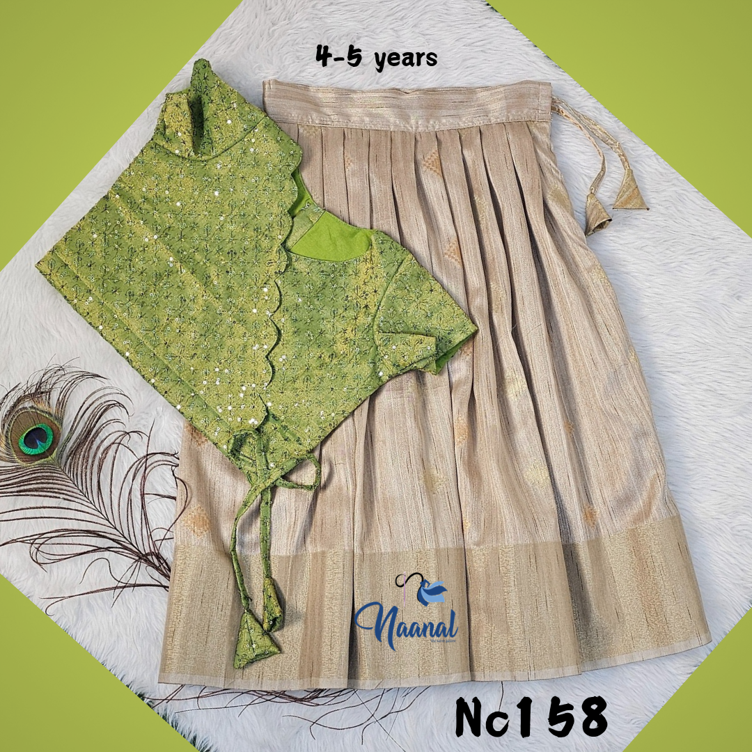 Stunning Banarasi Skirt with Green Embroidered Crop Top for 4-5 Year Olds